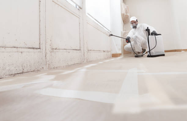 24/7 Emergency Mold Remediation experts in Rutherford, TN